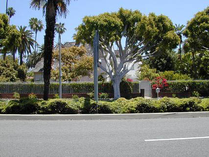 BevHills5
